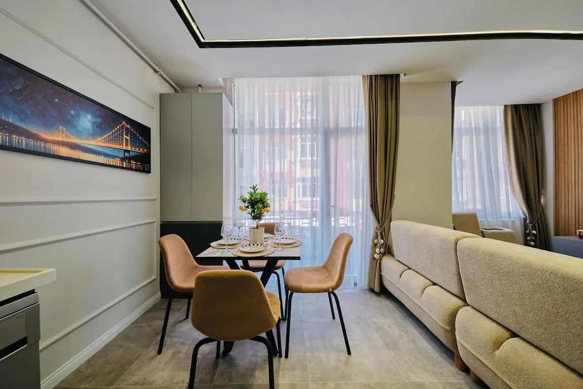 Taksim Square 1 plus 1 fully equipped air conditioned luxury apartment イスタンブール