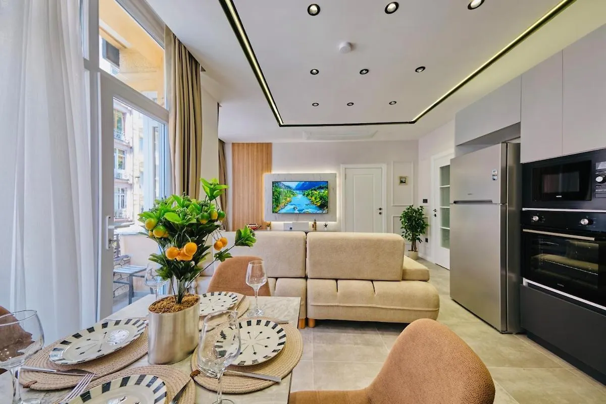 Taksim Square 1 plus 1 fully equipped air conditioned luxury apartment イスタンブール