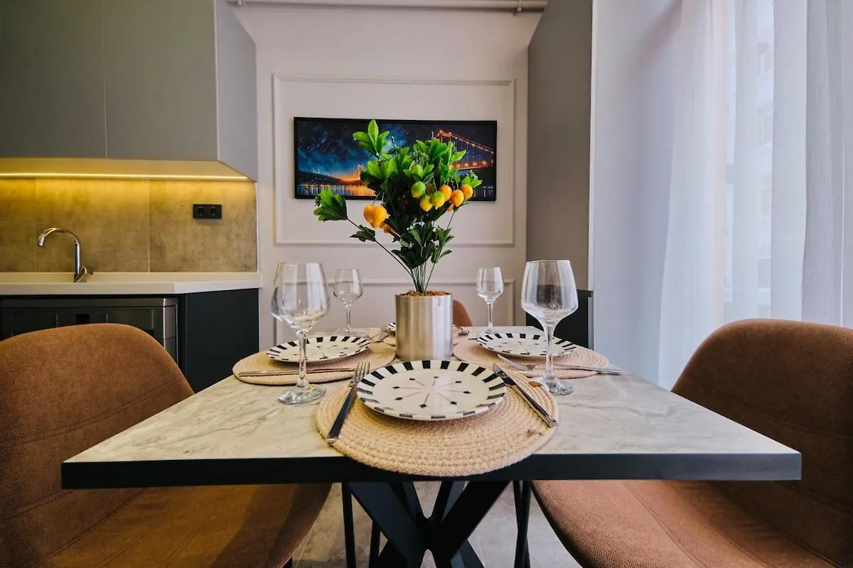 Taksim Square 1 plus 1 fully equipped air conditioned luxury apartment イスタンブール 0*,  トルコ