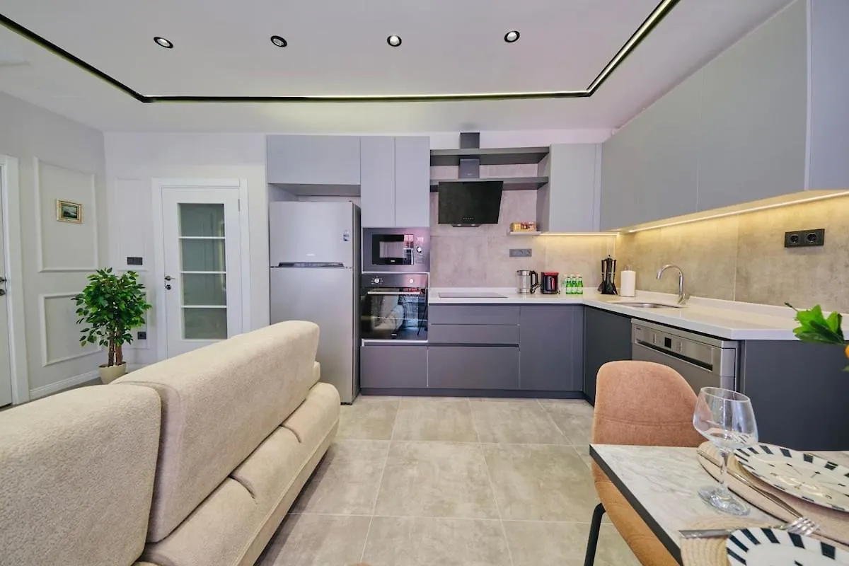Taksim Square 1 plus 1 fully equipped air conditioned luxury apartment イスタンブール 0*,