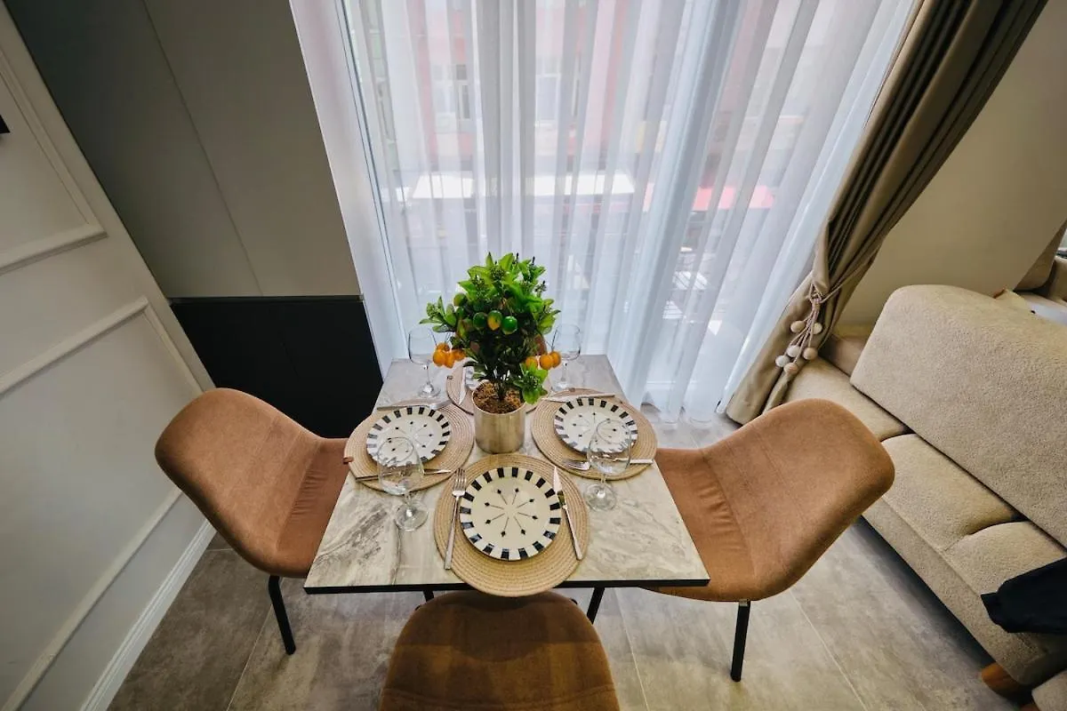 Taksim Square 1 plus 1 fully equipped air conditioned luxury apartment イスタンブール トルコ