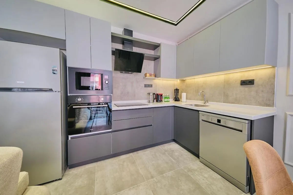 Taksim Square 1 plus 1 fully equipped air conditioned luxury apartment İstanbul